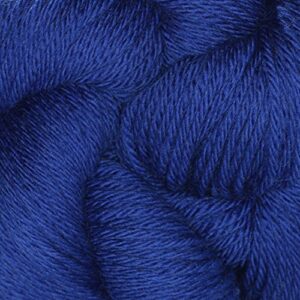 cascade yarns - 220 superwash sport - blue velvet #813