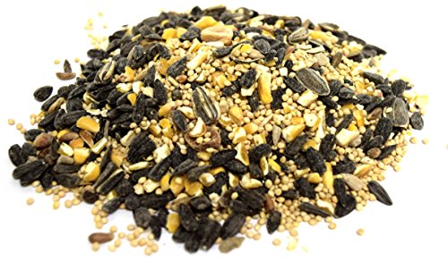 Lyric 2647441 Wild Bird Mix - 5 lb.