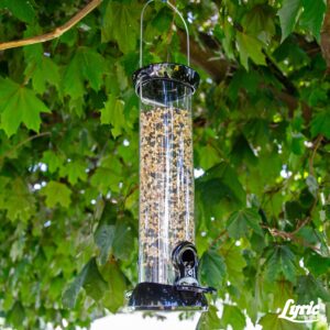 Lyric Chickadee Wild Bird Seed - Sunflower & Nut Premium Bird Food Mix for Chickadees, Nuthatches & Titmice - 4 lb bag