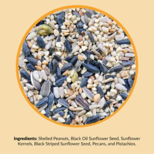 Lyric Chickadee Wild Bird Seed - Sunflower & Nut Premium Bird Food Mix for Chickadees, Nuthatches & Titmice - 4 lb bag