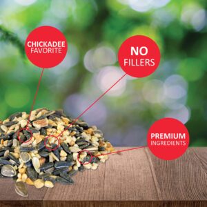 Lyric Chickadee Wild Bird Seed - Sunflower & Nut Premium Bird Food Mix for Chickadees, Nuthatches & Titmice - 4 lb bag