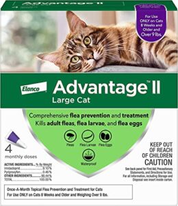 advantage 2 flea control for cats and kittens over 9 lbs 4 month supply