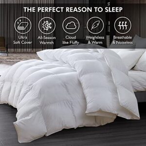 Luxurious Twin/Twin XL Size Goose Down Feather Comforter Down Feather Fiber Duvet 100% Egyptian Cotton Cover - Baffle Box Design - 50oz Fill Weight - Twin/Twin XL Duvet - Solid White