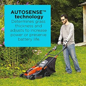 BLACK+DECKER 40V MAX* Cordless Lawn Mower with Battery and Charger Included (CM1640)