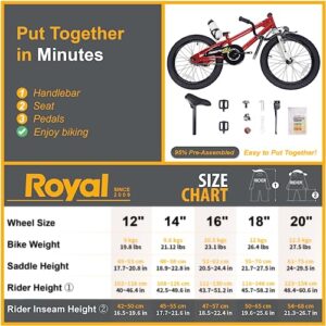 Royalbaby Kids Bike Boys Girls Freestyle BMX Bicycle With Kickstand Gifts for Children Bikes 18 Inch Red (RB18B-6R)