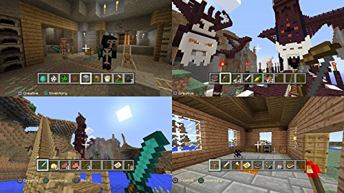 Minecraft (PS4)