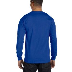 Hanes mens Essentials Long Sleeve T-shirt Value Pack (4-pack) fashion t shirts, Deep Royal, X-Large US