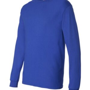 Hanes mens Essentials Long Sleeve T-shirt Value Pack (4-pack) fashion t shirts, Deep Royal, X-Large US