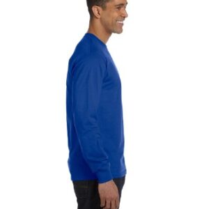 Hanes mens Essentials Long Sleeve T-shirt Value Pack (4-pack) fashion t shirts, Deep Royal, X-Large US