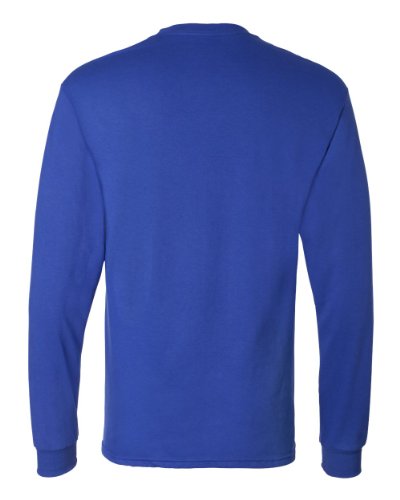 Hanes mens Essentials Long Sleeve T-shirt Value Pack (4-pack) fashion t shirts, Deep Royal, X-Large US