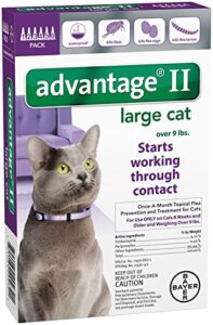 advantage ii large cat 6pack