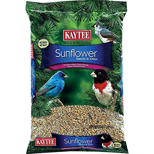 Kaytee Wild Bird Sunflower Seed 3 Lbs.