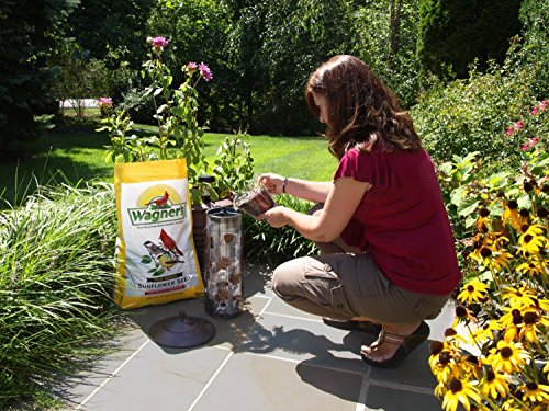 Wagner's 76027 Black Oil Sunflower Wild Bird Food, 25-Pound Bag