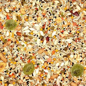 Volkman Avian Science Super Parrot Bird Food 8lb