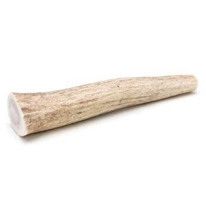 spizzles elk antler dog chew solid, long lasting bone for small breed aggressive chewers, all natural, no odor, no mess, no preservatives, usa, 4 inch