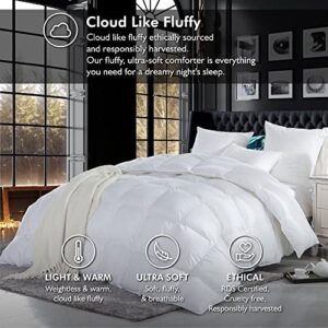 Luxurious Full/Queen Size Goose Down Feather Fiber Comforter Duvet Insert, Ultra-Soft 100% Egyptian Cotton Cover, 60 oz. Fill Weight, All-Season White Solid Comforter