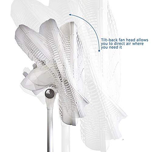Lasko 2520 Oscillating Stand Fan,White 16 Inch