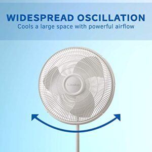 Lasko 2520 Oscillating Stand Fan,White 16 Inch