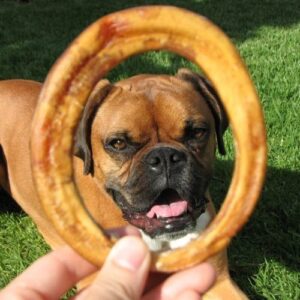 Pawstruck All Natural 4" Bully Stick Rings for Dogs, Grain Free, Low Odor, Single Ingredient, & Rawhide-Free Dental Chew Treat Bones, 100% Real Beef Fully Digestible, 3 Count