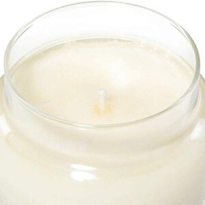 YANKEE CANDLE Vanilla Large Jar Candle, White