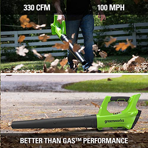 Greenworks 24V Cordless String Trimmer and Blower Combo Pack, 2Ah Battery and Charger Included STBA24B210