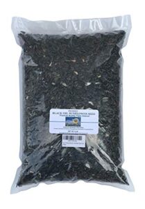 rex products,inc black oil sunflower seed 4 lb
