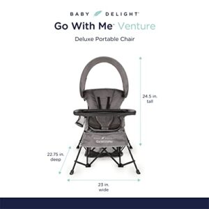 Baby Delight Go with Me Venture Portable Chair | Indoor and Outdoor | Sun Canopy | 3 Child Growth Stages | Grey