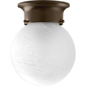 Progress Lighting P3401-20 Glass Globes Close-to-Ceiling, Bronze