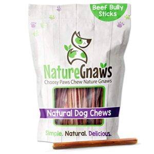 nature gnaws small bully sticks for dogs - premium natural beef dental bones - long lasting dog chew treats for small dogs & puppies - rawhide free 15 count (pack of 1)