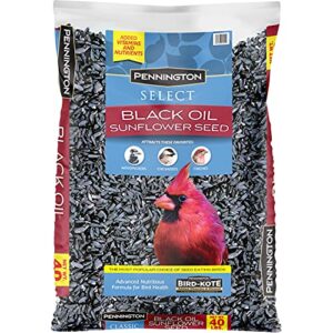 pennington select black oil sunflower seed wild bird feed, 40 lbs