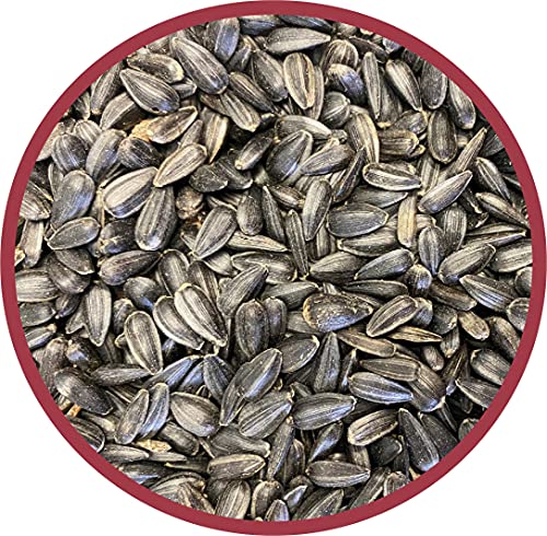 Pennington Select Black Oil Sunflower Seed Wild Bird Feed, 40 lbs