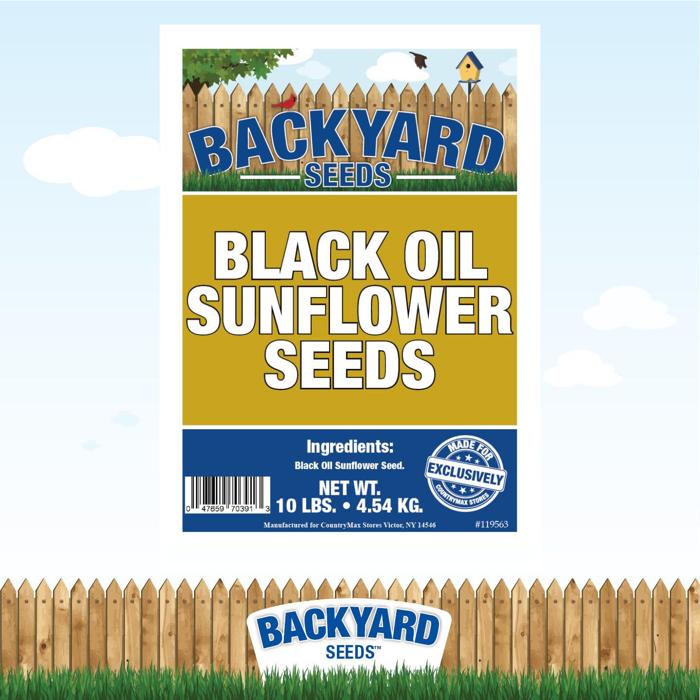 CountryMax Backyard Seeds Black Oil Sunflower (10 Pounds)