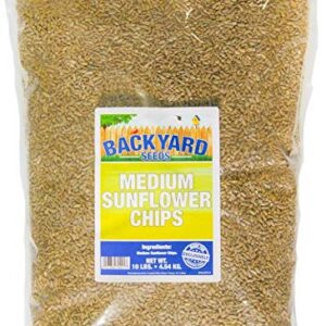 Backyard Seeds Medium Sunflower Chips 10 Pounds