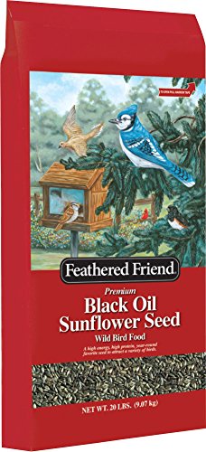 Feathered Friend Black Oil Sunflower Wild Bird Seed, 20 Lb.