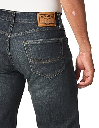 Signature by Levi Strauss & Co. Gold Label Men's Regular Fit Flex Jeans, Westwood #1, 36W x 34L