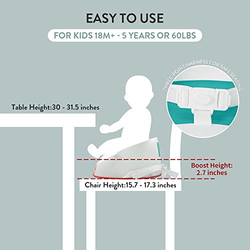 Prince Lionheart Squish Booster Seat, Gumball Green, 3-Point Harness and Dual-Strap System, Easy to Wipe Clean, and Lightweight Green