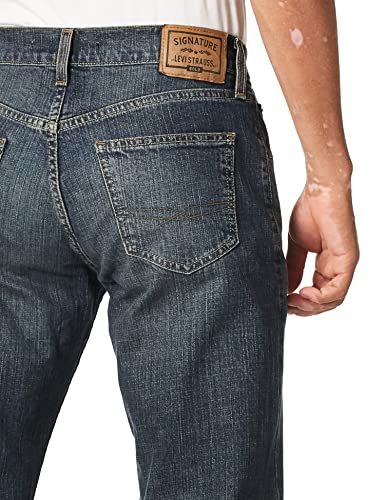 Signature by Levi Strauss & Co. Gold Label Men's Relaxed Fit Flex Jeans (Available in Big & Tall), Headlands, 42W x 30L