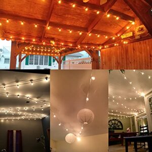 SUNSGNE 25Ft Globe String Lights, G40 Outdoor String Lights with 27 Clear Edison Bulbs, Clear Edison Bulb String Lights for Indoor Outdoor Commercial Decoration-White Wire