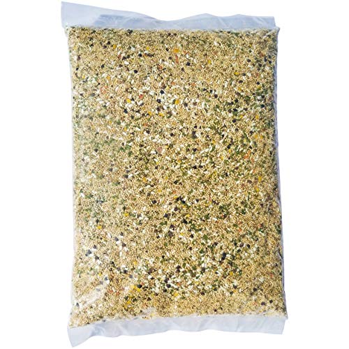 Volkman Avian Science Super Cockatiel No Sunflower Bird Food Daily Diet for Lovebirds Green Cheeked Conures Sun Conures, One 8lb Bag