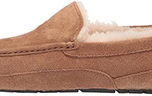 UGG Men's Ascot Slipper, Chestnut, 12 M US