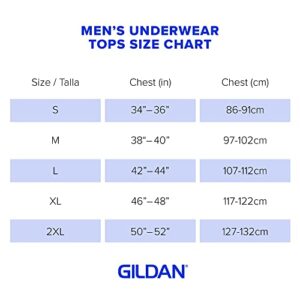 Gildan Men's V-Neck T-Shirts, Multipack, Style G1103, White (6-Pack), Large