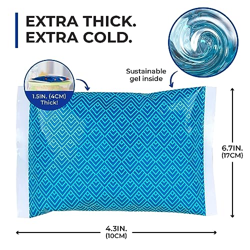 Thrive Ice Packs for Lunch Bags - Reusable Ice Packs for Cooler and Lunch Box - Long Lasting, Lightweight, Soft Gel Ice Packs for Camping, Beach Bags, Picnics, Injuries - Pack of 4