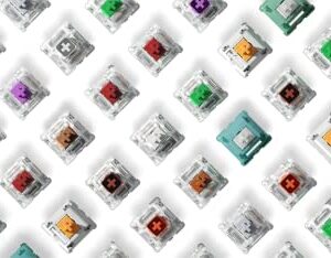 Glorious Keyboard Switch Sample Pack - Gateron | Kailh | Panda | Lynx Mechanical Keyboard Switches