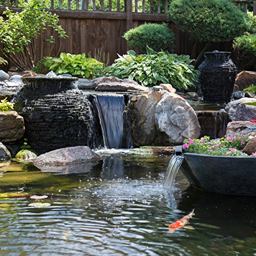 Aquascape PREVENT Water Treatment for Fountains, Waterfalls, Rock and Gravel, Prevent White-scale Buildup, Stains, Foam and Other Unsightly Water Conditions. 8 oounce / 236 ml | 96073