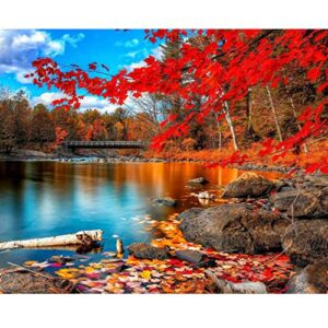 tocare diy acrylic paint by number for adults on canvas,adult painting by numbers kits home wall art decor,20x16inch maple autumn park-no frame