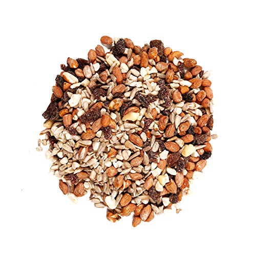 Wagner's 82072 Gourmet Nut & Fruit Wild Bird Food, 5 Pound (Pack of 1)