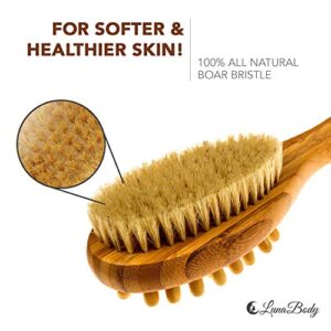 LunaBody Bamboo Body Brush for Back Scrub - Natural Boar Bristle Shower Brush Scrubber with Long Handle - Exfoliate Skin and Cellulite - Wet or Dry