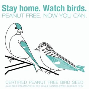 Wallis Johns Peanut Free Wild Bird Seed - Something for Everyone(2) Blend (6 lb)