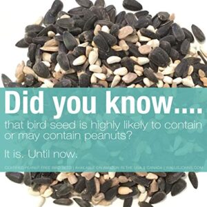 Wallis Johns Peanut Free Wild Bird Seed - Something for Everyone(2) Blend (6 lb)