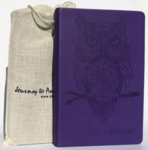 dream to awaken owl grimoire journal | blank book of shadows journal | witch planner | gift for wiccan, pagan, mystic, alchemist, dreamer, goddess | vegan leather spell book blank | hardcover | 5 3/4" x 8 1/2"